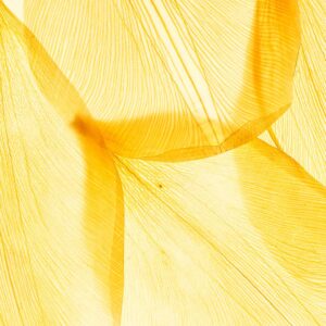 St. John’s Wort