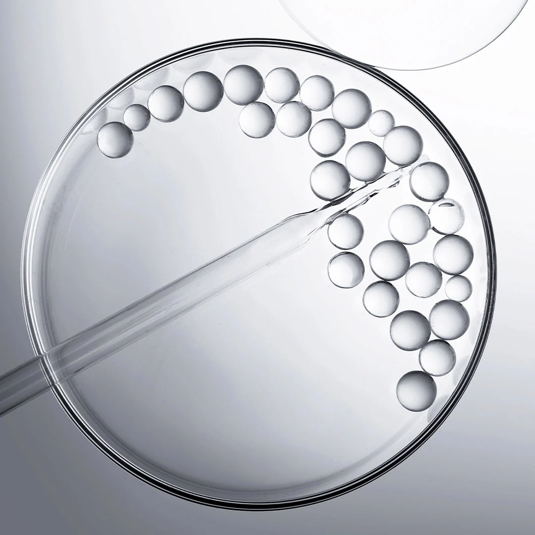 Total Rejuvenation Active